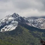 Lioelara