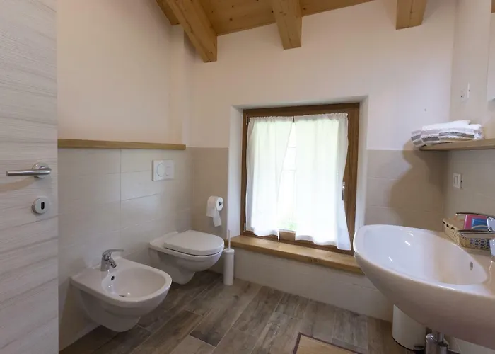 Lioelara فيلتري